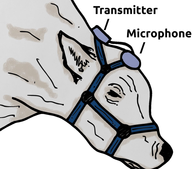 jawmovements.png